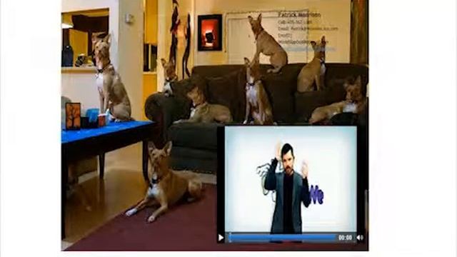 A WowWe Walkthrough смотреть онлайн