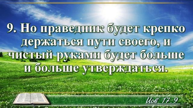 ВидеоБиблия Книга Иова с музыкой глава 17 Бондаренко смотреть онлайн