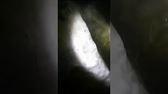 АМУР НА ПРОДУХ ИЗ ГЛУБИНЫ смотреть онлайн