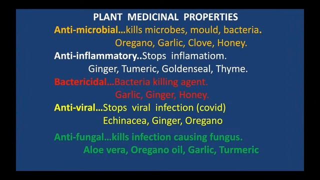 Health Seminar Part ll смотреть онлайн