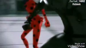 CAT NOIR AND LADY BUG •клип•