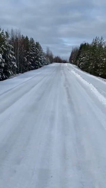 #природа #сибирь #тайга #красота смотреть онлайн