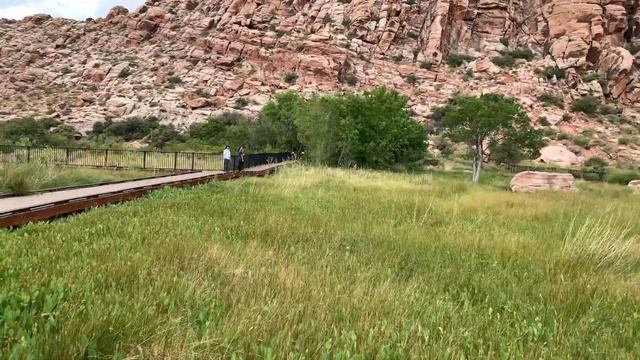 Things to do in Las Vegas: Calico Basin Trail-Hiking in Red Rock Canyon. Part 1 смотреть онлайн