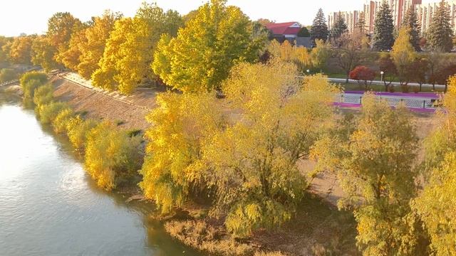 Тирасполь Приднестровье Осень Октябрь 2022 7 смотреть онлайн