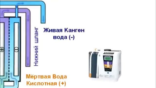 Антиоксиданты из водопроводного крана-1.wmv смотреть онлайн