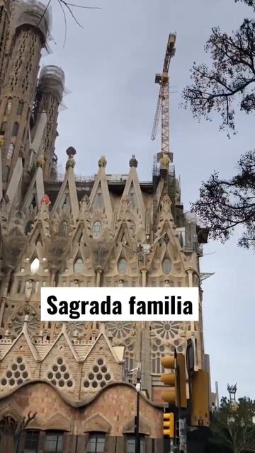 Sagrada familia #barcelona #bcn #ciudad #españa смотреть онлайн