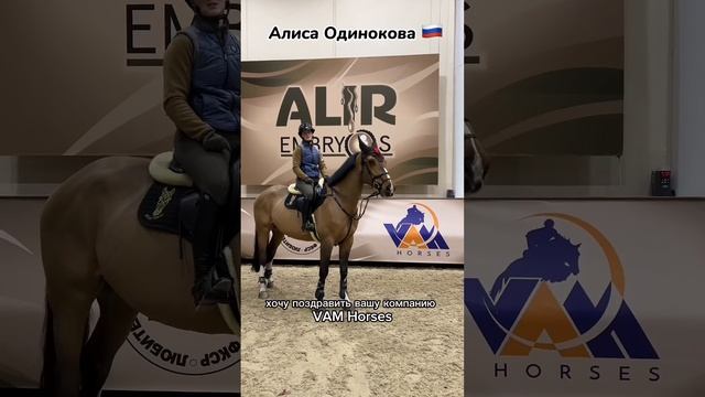 VAM Horses исполнилось 3 года! смотреть онлайн