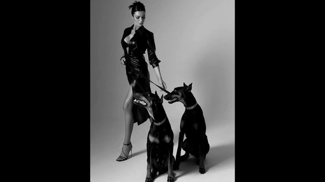 BROOL - Bizaut & Cricket