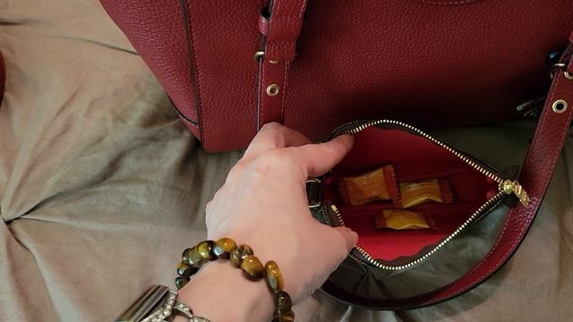 What's in my Coach Kleo? #wimb#coach#whatsinmybag смотреть онлайн