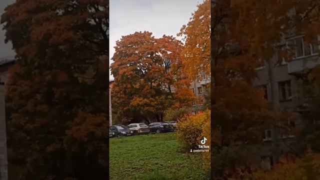 Желаю Вам💋💃💕💐❤️🍒😘🤫