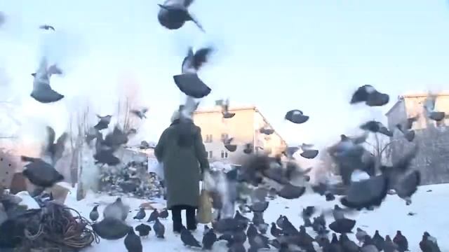 Ровно месяц мусорной реформе в Красноярске смотреть онлайн
