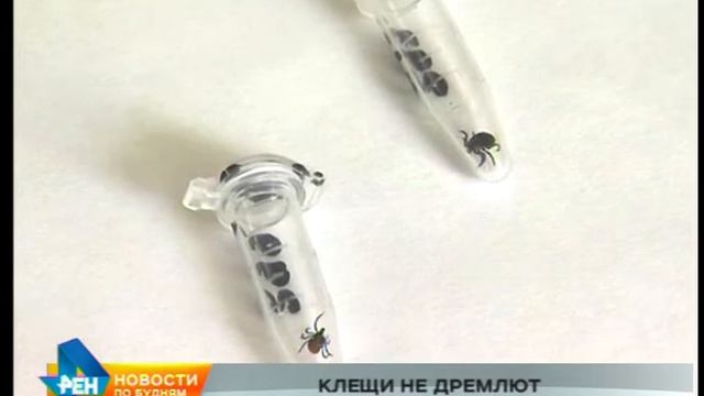 22 человека госпитализированы в регионе с подозрением на клещевые инфекции смотреть онлайн