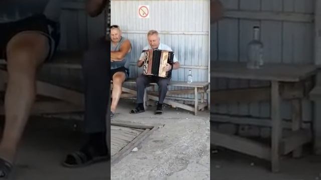 Уборка урожая 2022 года. Наши хлеборобы талантливы во всем