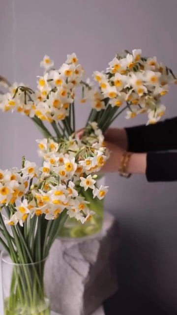 Нарциссы - символ приближающейся весны! уже в Fashion Flowers смотреть онлайн