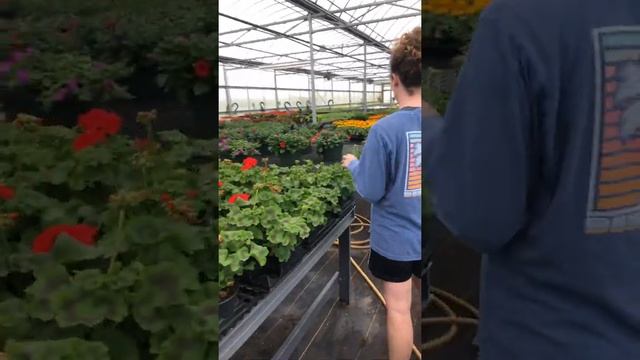 Mercer Co Greenhouse Inventory Update смотреть онлайн