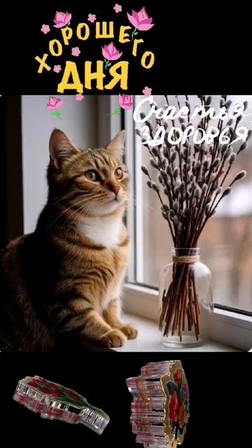 Хорошего дня. Пусть все мечты сбываются. смотреть онлайн