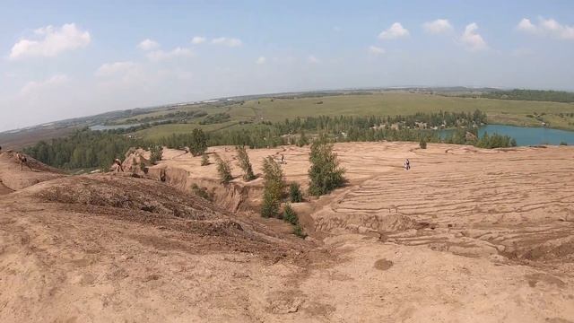 Щенок Хаски первые дни в семье