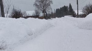 Поездка в город,наши покупки,селёдка под шубой.