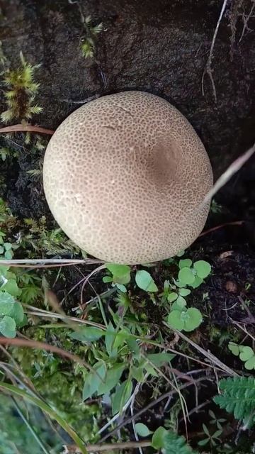 September 25, 2022 смотреть онлайн