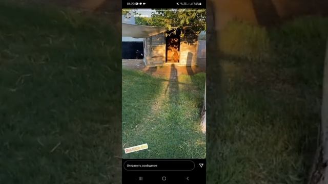 Агата Муцениеце,  последний день отдыха в Турции, сторис от 16.08.2021