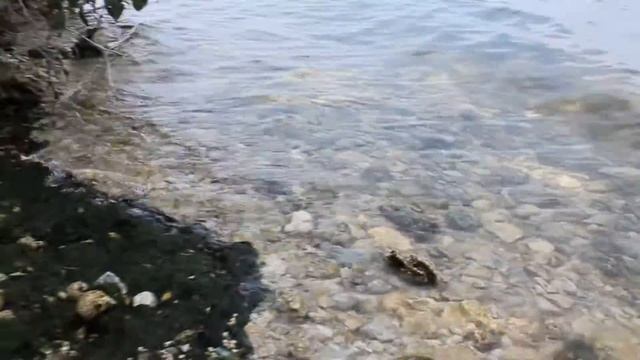 Звук волн на берегу Карачуновского водохранилища | Карачуны смотреть онлайн