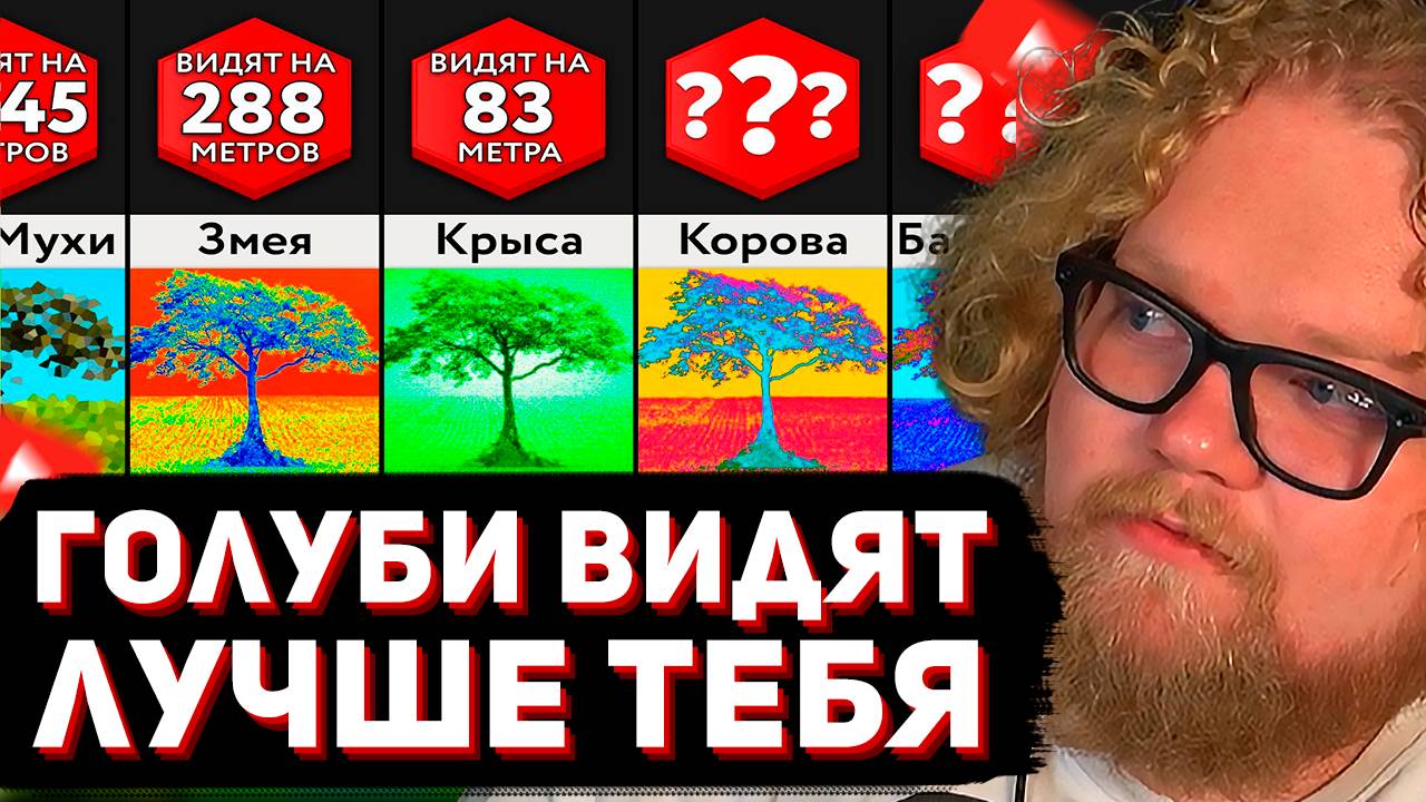 T2x2 СМОТРИТ: Как Животные Видят Наш Мир // Мир Сравнений смотреть онлайн