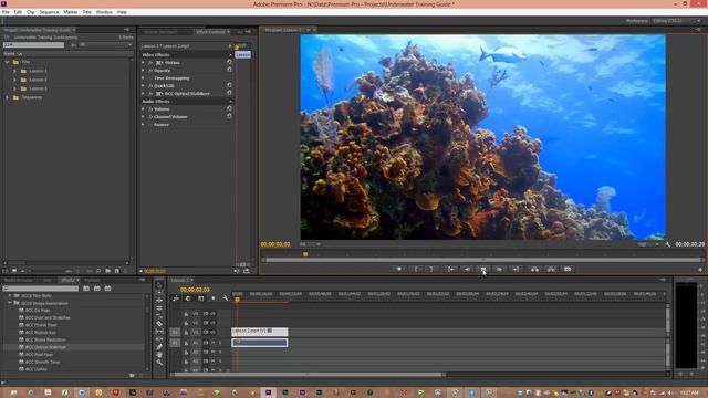 Lesson 09 - BCC Optical Stabilizer For Tri-Pod Shots