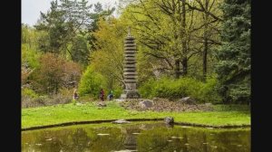 Японский Сад