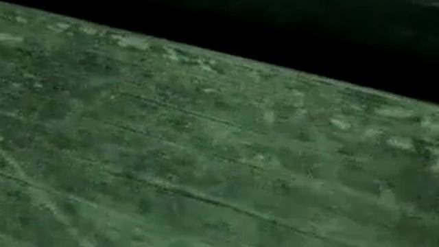 Epic Beetle Fail смотреть онлайн