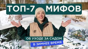 ТОП-7 мифов зимнего ухода за садом: правда или заблуждение?
