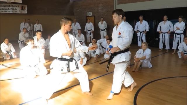 Andre Bertel Karate Seminar - Krefeld, Germany 2015 смотреть онлайн