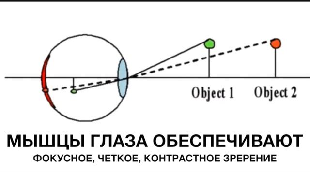 Восстановление зрения. проЗРЕНИЕ по Бейтсу.