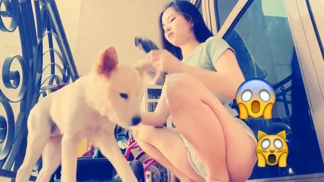 bakat na bakat viral vedio nakikitaan ka inday{merson esparcia vlog's} смотреть онлайн