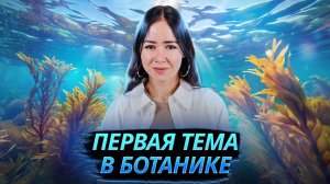 Ботаника с нуля: всё о ВОДОРОСЛЯХ | ЕГЭ по биологии I Умскул