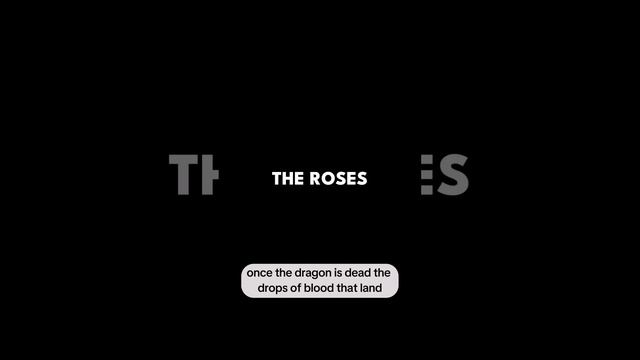 Grab A Book And A Rose! It's Sant Jordi's Day In Spain! 🌹📚🇪🇸
