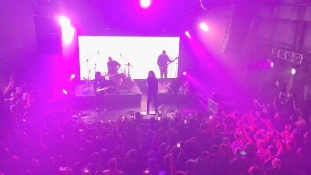 Amatory - Первый (live)