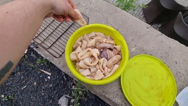 Кальмарчик на решетке. смотреть онлайн
