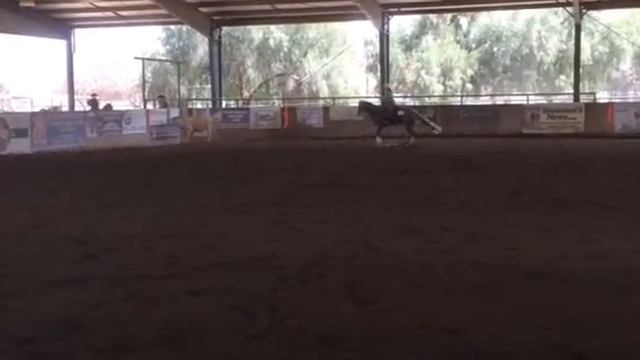 Cynthia cow 3/18/18 смотреть онлайн