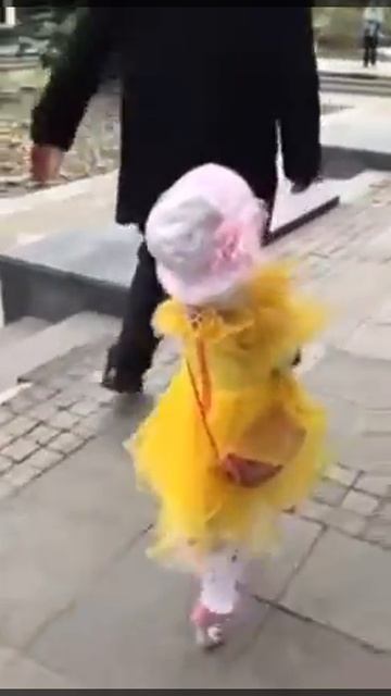 Собака дама