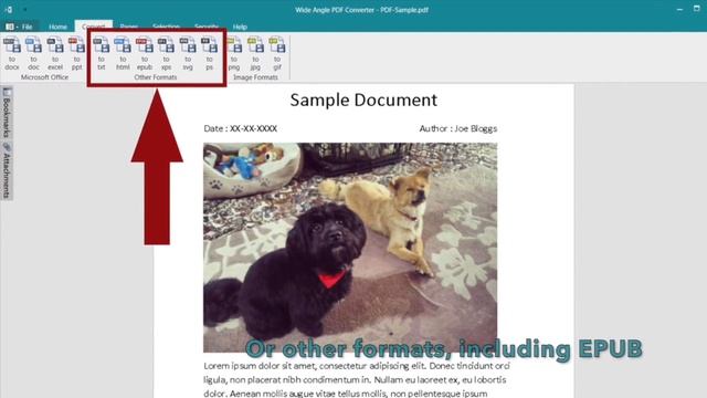 Convert PDF to Word, Image and more. Merge and Protect PDF смотреть онлайн