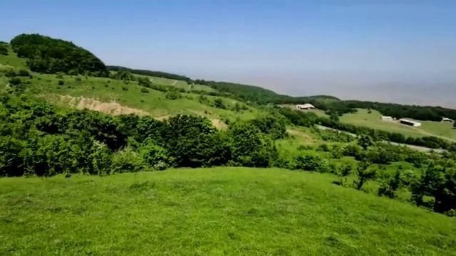 дубки. дубовая роща. смотреть онлайн