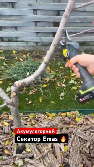 Акумуляторний секатор EMAS 🔥 огляд + тест за 1 хвилину