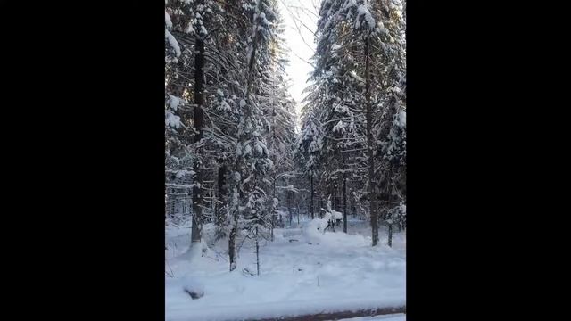 Пилим помаленьку... смотреть онлайн