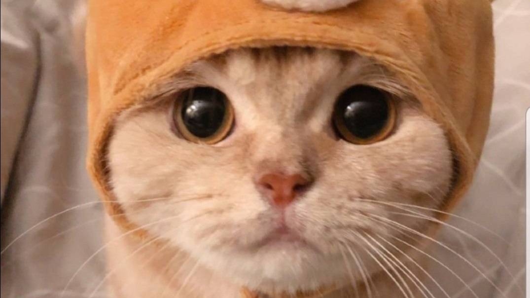 обби 💛💛💛