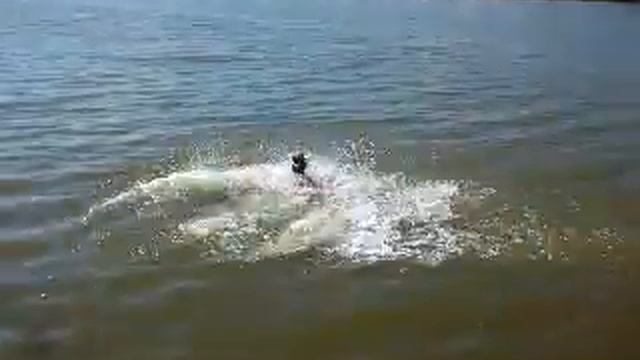 чемпионский нырок в воду смотреть онлайн