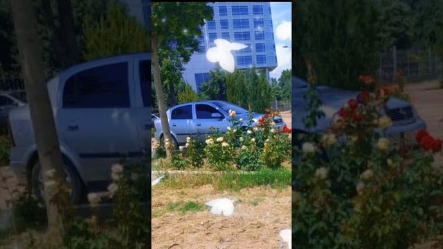 Бехтарин суруди Эрони🥰 2022 Чи Хейф гушкн асабота ором кн❤💫     #dubai #dushanbe #tjk #iran #ironic