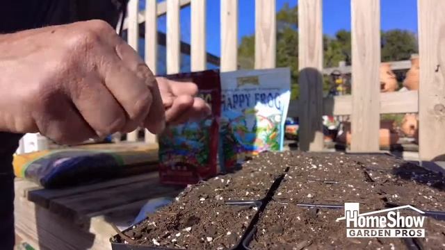 Proper Tomato Seed Planting смотреть онлайн