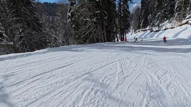 0312 смотреть онлайн