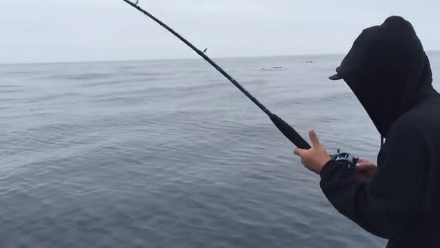 YELLOW TALES (Fishing La Jolla California) MPB Yellowtail смотреть онлайн