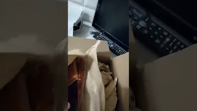 ОТЗЫВ ОТ ПОКУПАТЕЛЯ НА РЫБКУ | ТОВАРИЩ РЫБАКОВ